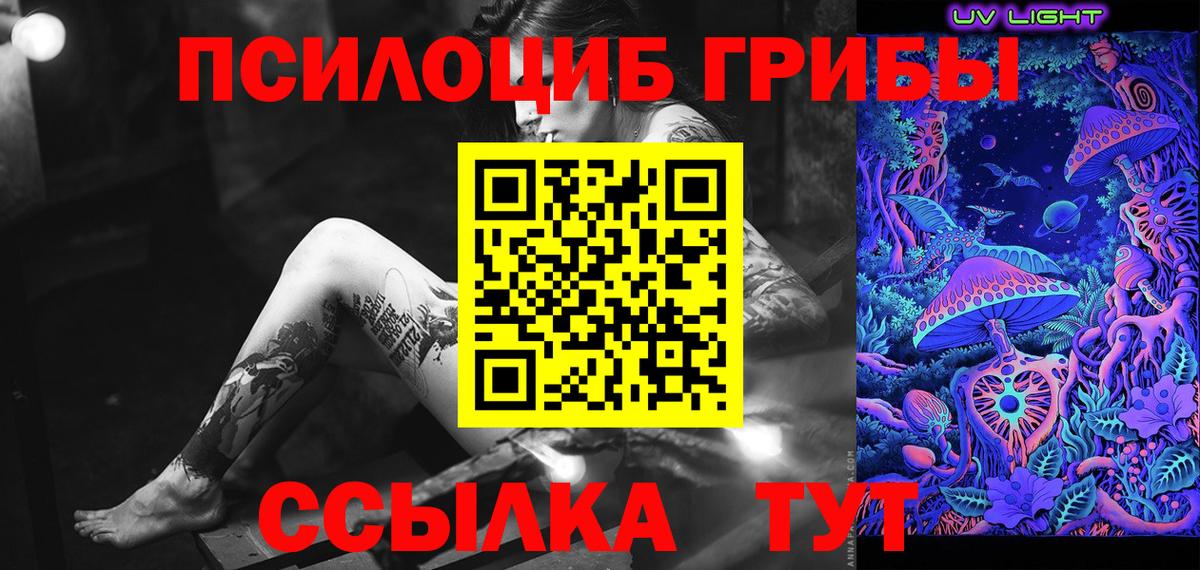 Галлюциногенные грибы Psilocybine cubensis  Вход с VPN  Павловский Посад 