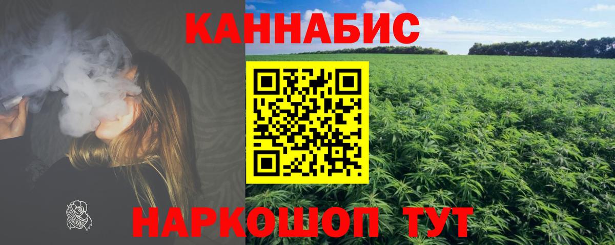 Канабис сатива Павловский Посад